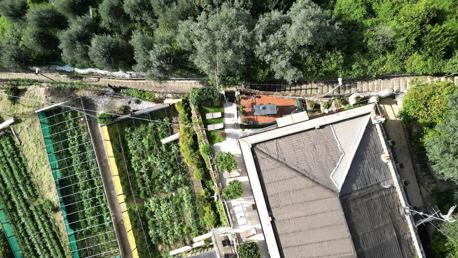 Holiday home Cav Gli Ulivi Di Bogliasco Parcheggio Privato Gratuito Villa Italy