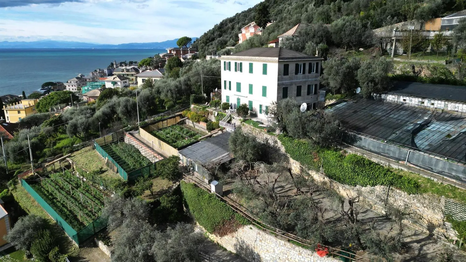 Holiday home Cav Gli Ulivi Di Bogliasco Parcheggio Privato Gratuito Villa