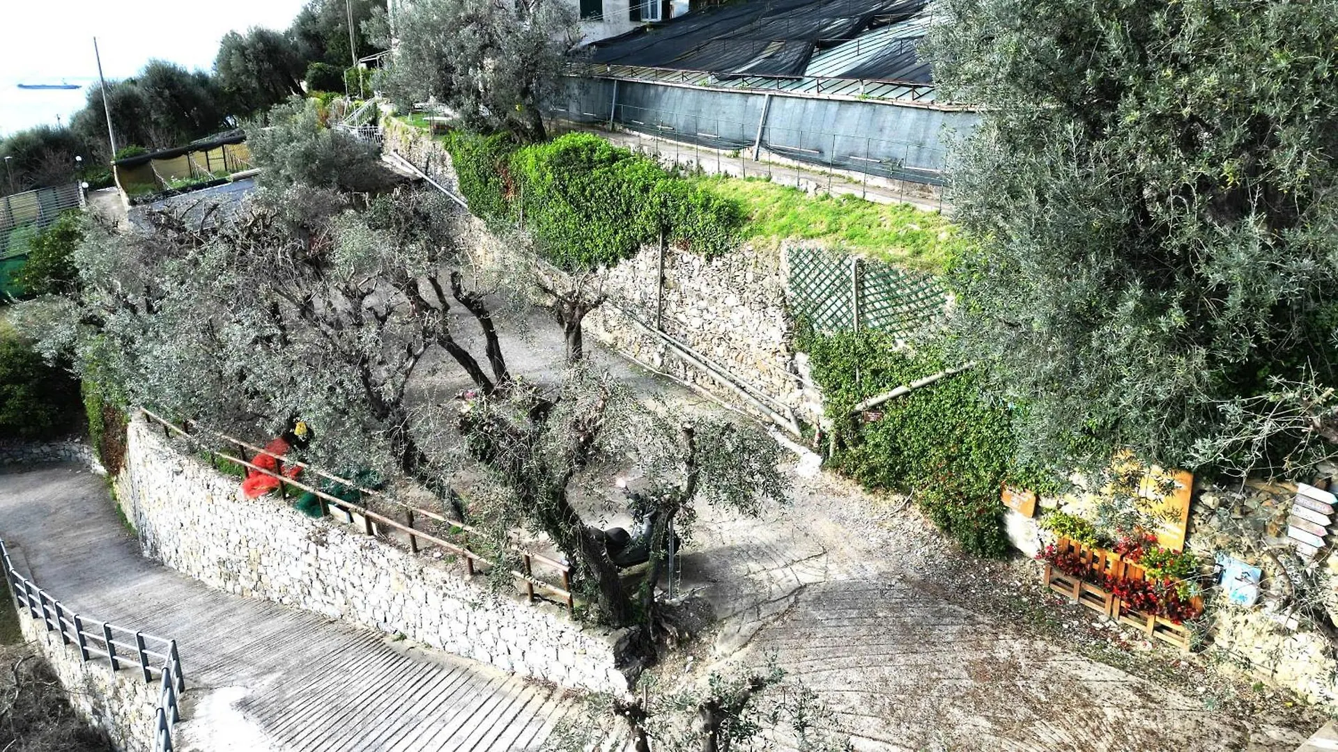 Cav Gli Ulivi Di Bogliasco Parcheggio Privato Gratuito Villa 0*,