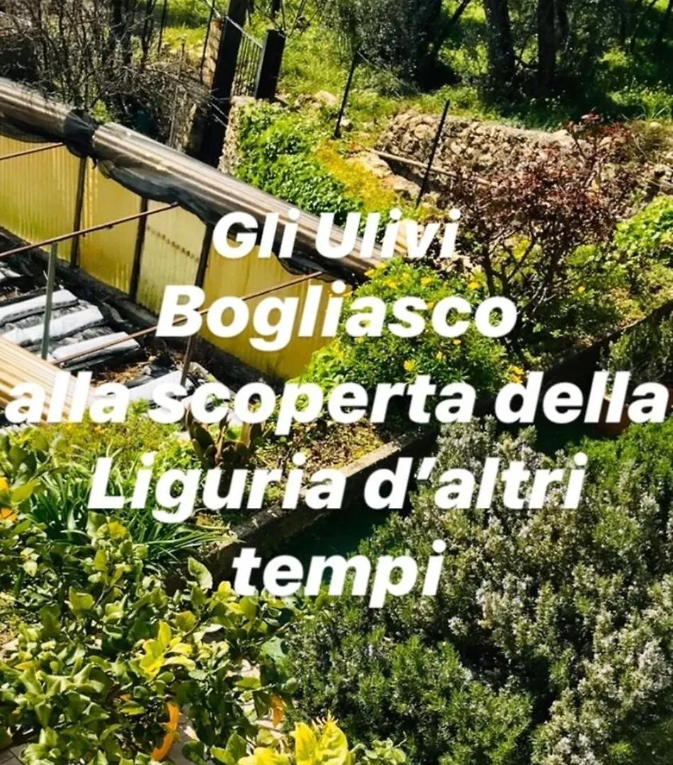 Cav Gli Ulivi Di Bogliasco Parcheggio Privato Gratuito Βίλα