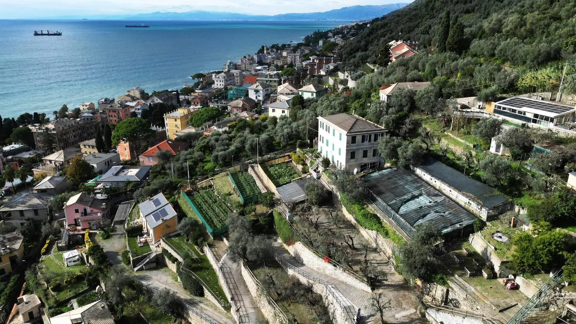 Villa Cav Gli Ulivi Di Bogliasco Parcheggio Privato Gratuito Ferienhaus